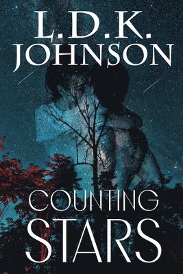 L D K Johnson - Counting Stars, Häftad