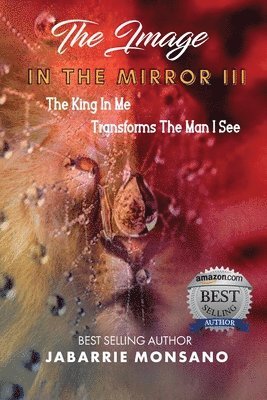 Jabarrie Monsano - Image in the Mirror III, Häftad
