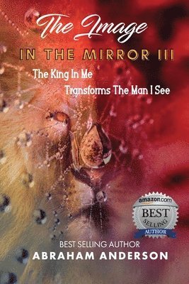 Abraham Anderson - Image in the Mirror III, Häftad
