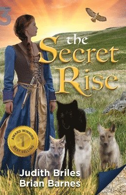 Judith Briles, Brian Barnes - Secret Rise, Häftad. Tillgänglighet: Lägg i varukorg
