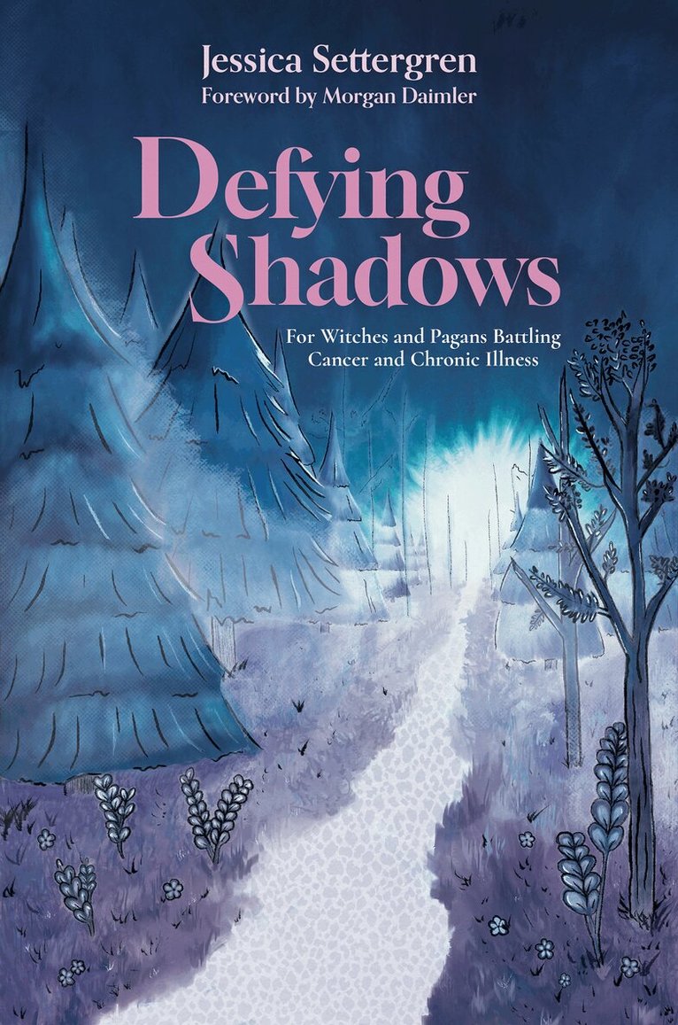 Jessica Settergren - Defying Shadows, Häftad