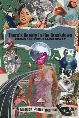 Madison James Stearman - There's Beauty in the Breakdown, Häftad