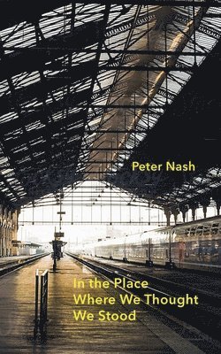 Peter Nash - In the Place Where We Thought We Stood, Häftad