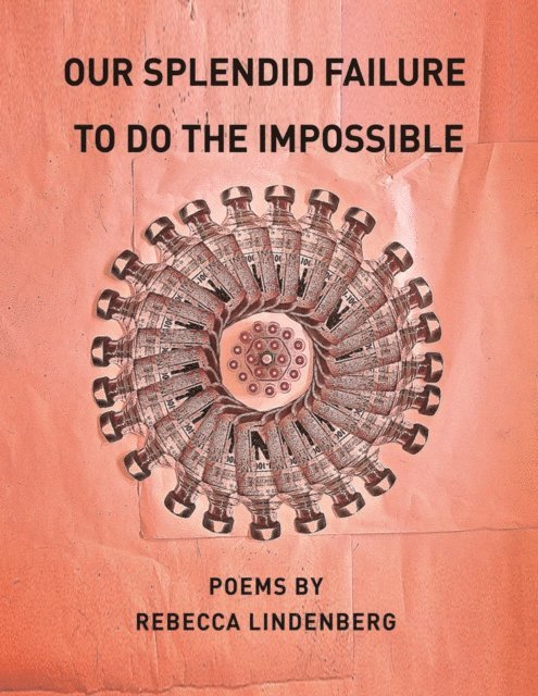 Rebecca Lindenberg - Our Splendid Failure to Do the Impossible, E-bok