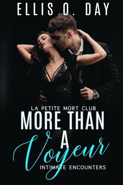 Ellis O. Day - More Than a Voyeur, E-bok