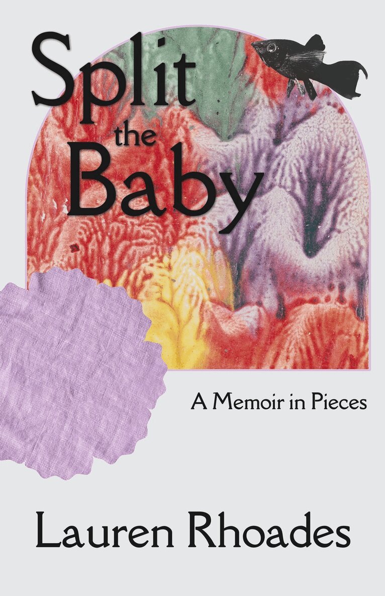Lauren Rhoades - Split the Baby, Häftad