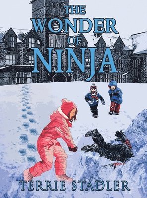 Terrie Stadler - The Wonder of Ninja, Inbunden. Tillgänglighet: Lägg i varukorg