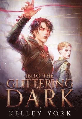 Kelley York, Karen Meeus - Into the Glittering Dark, Inbunden