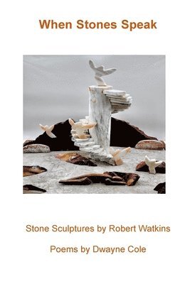 Dwayne Cole - When Stones Speak, Häftad. Tillgänglighet: Lägg i varukorg