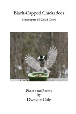 Dwayne Cole - Black-Capped Chickadees, Häftad. Tillgänglighet: Lägg i varukorg
