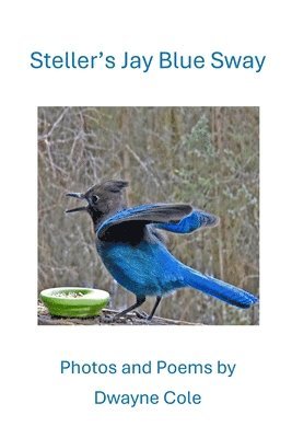 Dwayne Cole - Steller's Jay Blue Sway, Häftad. Tillgänglighet: Lägg i varukorg