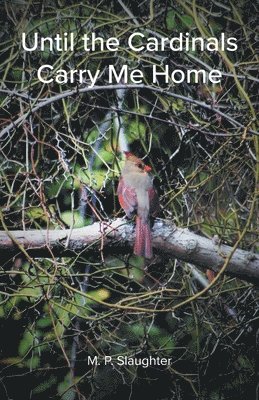 M P Slaughter - Until the Cardinals Carry Me Home, Häftad