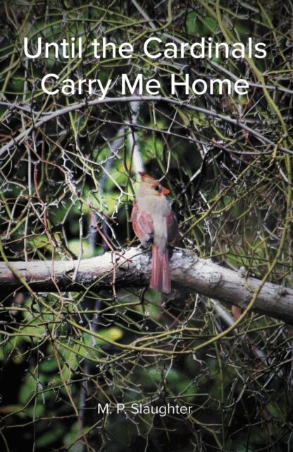 M. P. Slaughter - Until the Cardinals Carry Me Home, E-bok. Tillgänglighet: Lägg i varukorg
