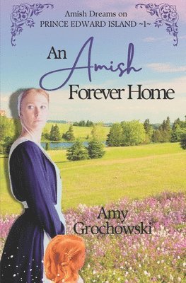 Amy Grochowski - Amish Forever Home, Häftad