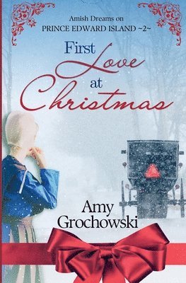 Amy Grochowski - First Love at Christmas, Häftad
