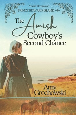 Amy Grochowski - Amish Cowboy's Second Chance, Häftad