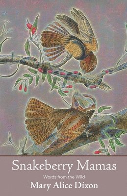 Mary Alice Dixon - Snakeberry Mamas, Häftad