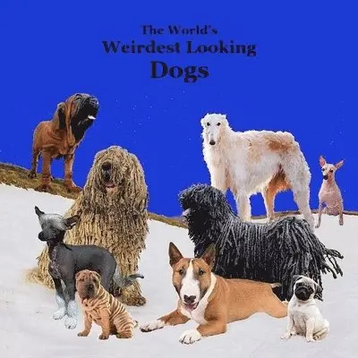 Kinsey Marie, Billy Grinslott - Weirdest Looking Dogs in the World Kids Book, Häftad. Tillgänglighet: Lägg i varukorg