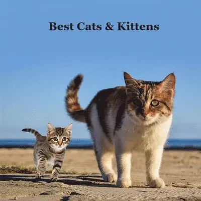 Kinsey Marie, Billy Grinslott - Best Cats and Kittens for Kids Book, Häftad. Tillgänglighet: Lägg i varukorg