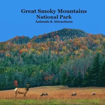 Kinsey Marie, National Parks Books, Billy Grinslott - Great Smoky Mountains National Park Kids Book, Häftad. Tillgänglighet: Lägg i varukorg