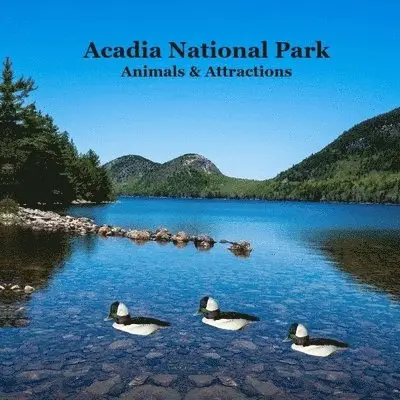 Kinsey Marie, National Parks Books, Billy Grinslott - Acadia National Park Animals and Attractions Kids Book, Häftad. Tillgänglighet: Lägg i varukorg