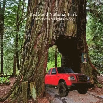 Kinsey Marie, National Parks Books, Billy Grinslott - Redwood National Park Attractions and Sights to See Kids Book, Häftad. Tillgänglighet: Tillfälligt slut