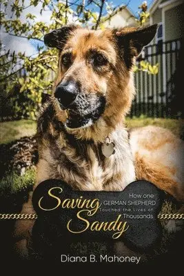 Diana B Mahoney - Saving Sandy, Häftad. Tillgänglighet: Lägg i varukorg