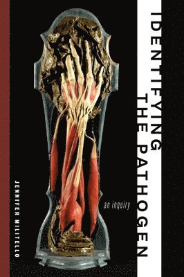 Jennifer Militello - Identifying the Pathogen, Häftad