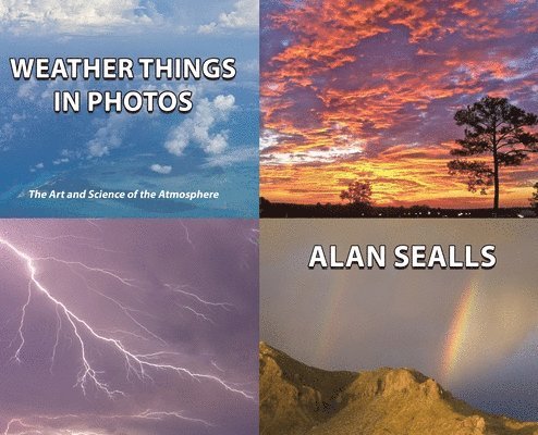 Alan Sealls - Weather Things in Photos, Inbunden