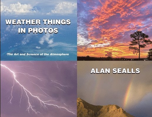 Alan Sealls - Weather Things in Photos, Häftad