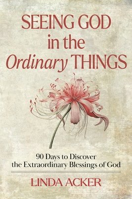 Linda G Acker - Seeing God in the Ordinary Things, Häftad