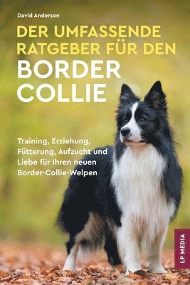 Umfassende Ratgeber Für Den Border Collie