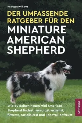Umfassende Ratgeber Für den Miniature American Shepherd