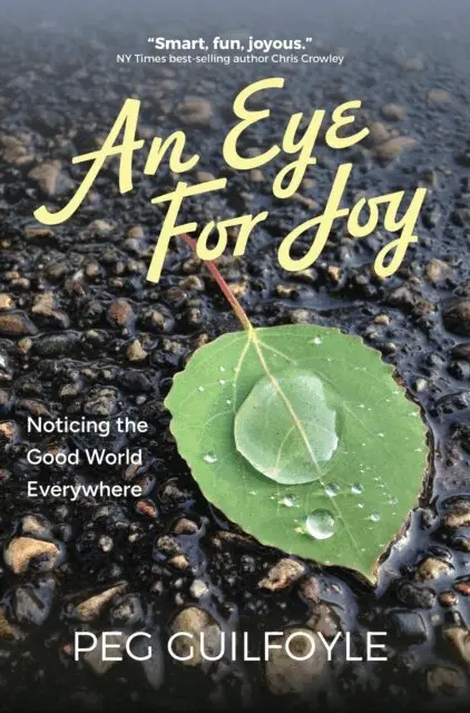 Peg Guilfoyle - Eye For Joy, E-bok. Tillgänglighet: Lägg i varukorg
