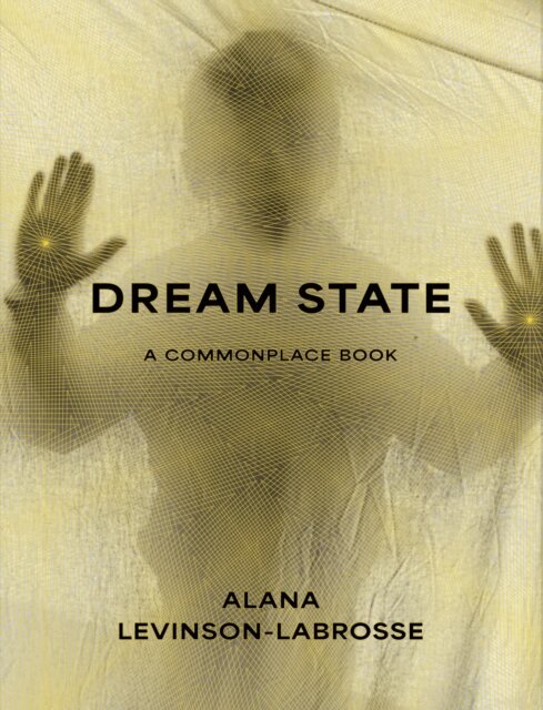 Alana Marie Levinson-LaBrosse - Dream State, E-bok