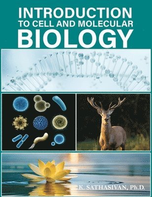 K Sathasivan P H D - Introduction to Cell and Molecular Biology, Häftad