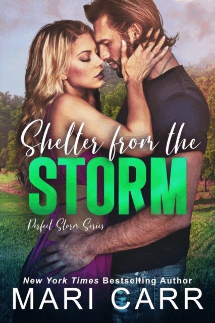 Mari Carr - Shelter from the Storm, E-bok