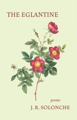 J R Solonche - Eglantine, Häftad