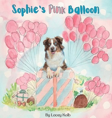 Lacey Kolb, Melissa Kolb - Sophie's Pink Balloon, Inbunden