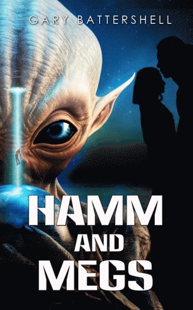 Gary Battershell - Hamm and Megs, E-bok