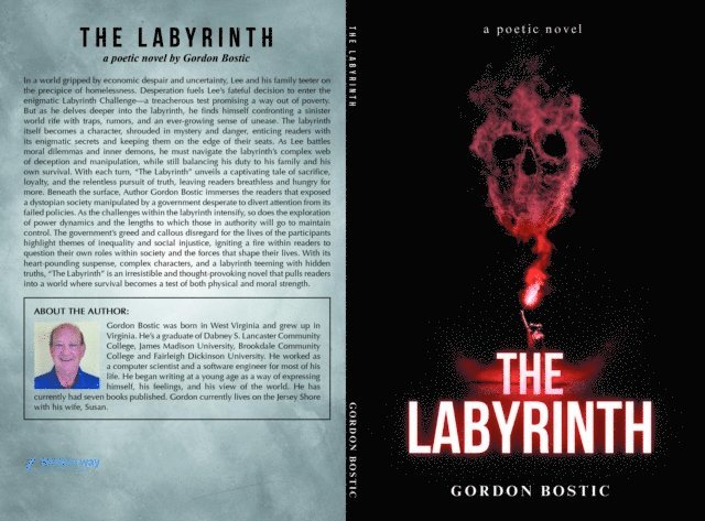 Gordon Bostic - Labyrinth, E-bok