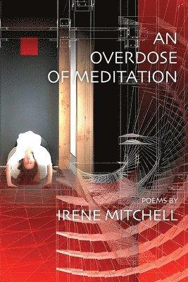 Irene Mitchell - Overdose of Meditation, Häftad