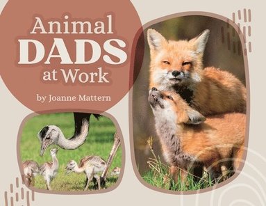 Joanne Mattern, Precious McKenzie - Animal Dads at Work, Häftad