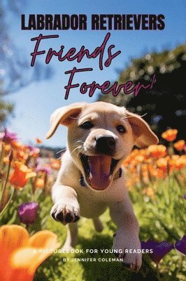 Jennifer Coleman - Labrador Retrievers Friends Forever, Inbunden. Tillgänglighet: Lägg i varukorg