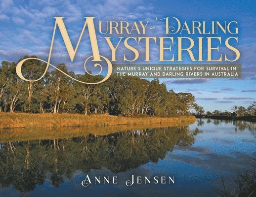 Anne Jensen - Murray-Darling Mysteries, Häftad. Tillgänglighet: Lägg i varukorg