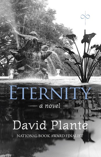 David Plante - Eternity, Inbunden