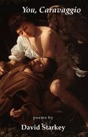 David Starkey - You, Caravaggio, Häftad
