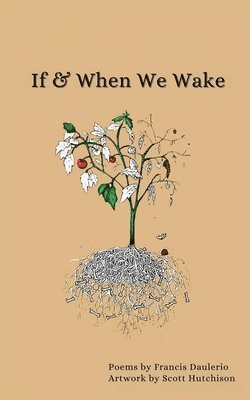 Francis Daulerio - If & When We Wake, Häftad