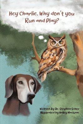 Stephen Scher - Hey Charlie, Why don't you run and play?, Häftad