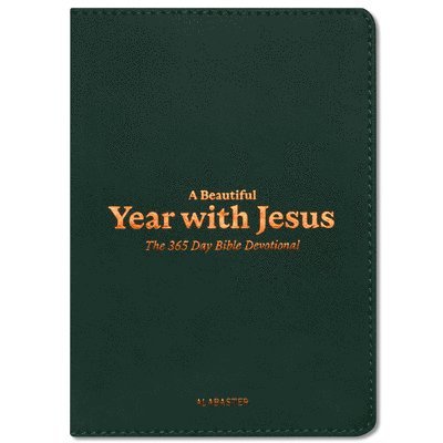 Alabaster Co. - Beautiful Year with Jesus (LB), Inbunden